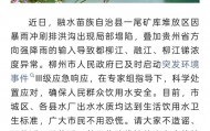 鱼眼·现场丨警报！柳江突发锑污染，柳州超市饮用水遭抢购，多地居民排队取水