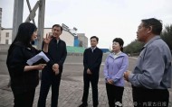 王莉霞在乌海市现场督导中央生态环境保护督察通报典型案例整改工作