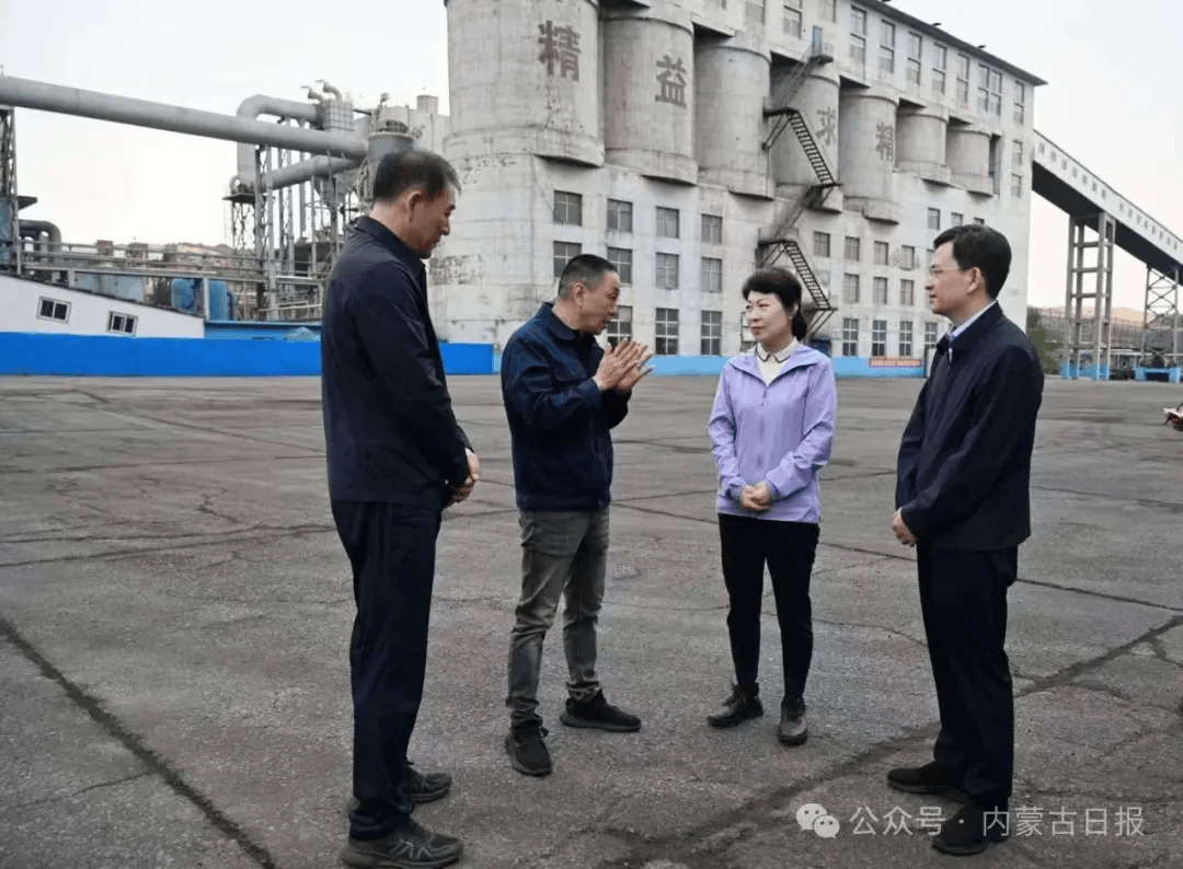 王莉霞在乌海市现场督导中央生态环境保护督察通报典型案例整改工作
