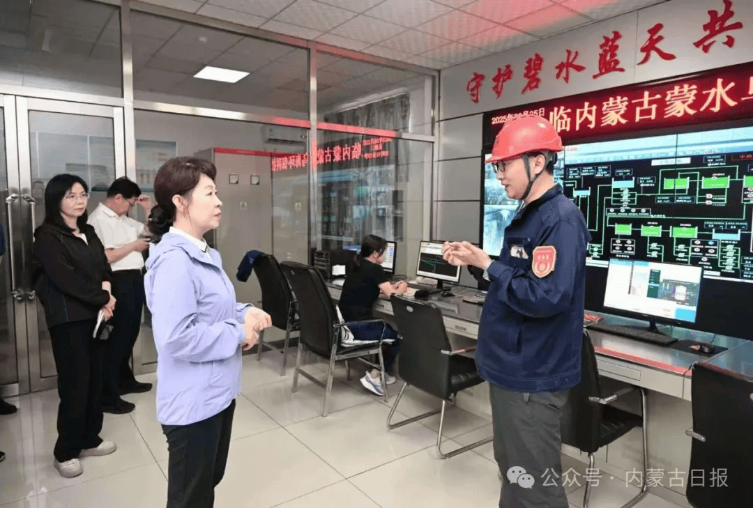 王莉霞在乌海市现场督导中央生态环境保护督察通报典型案例整改工作