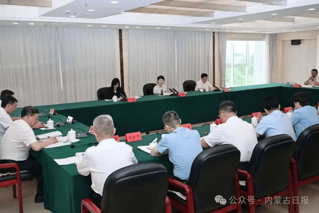 王莉霞在乌海市现场督导中央生态环境保护督察通报典型案例整改工作